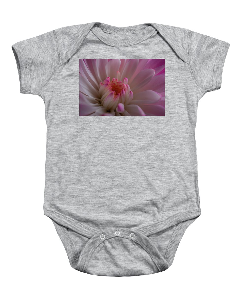 Pink Baby Onesie featuring the photograph Accents of Pink by Linda Howes