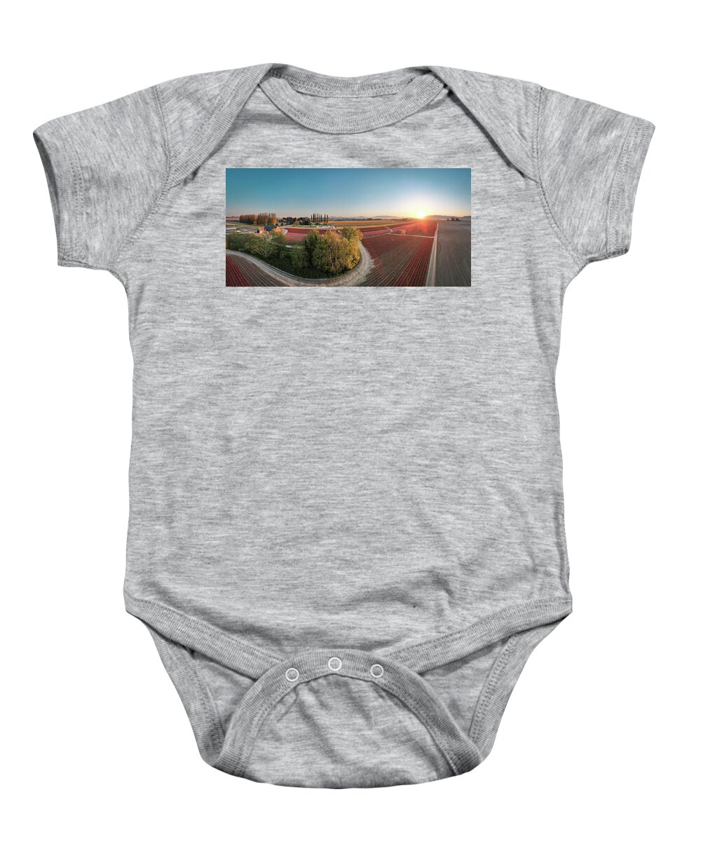 Skagit Valley Tulips Baby Onesie featuring the photograph Aerial Tulips Panorama by Michael Rauwolf