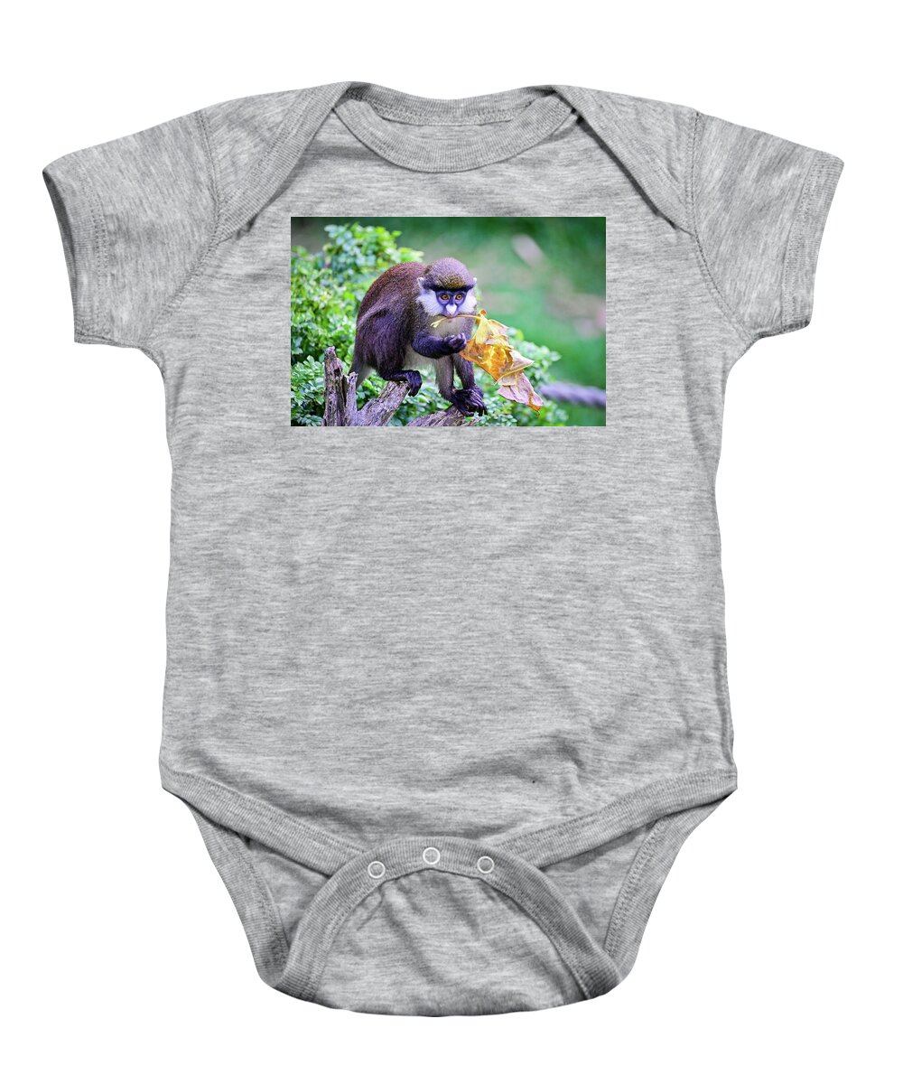 Wildlife Baby Onesie featuring the photograph Allens swamp monkey posing by Ed Stokes
