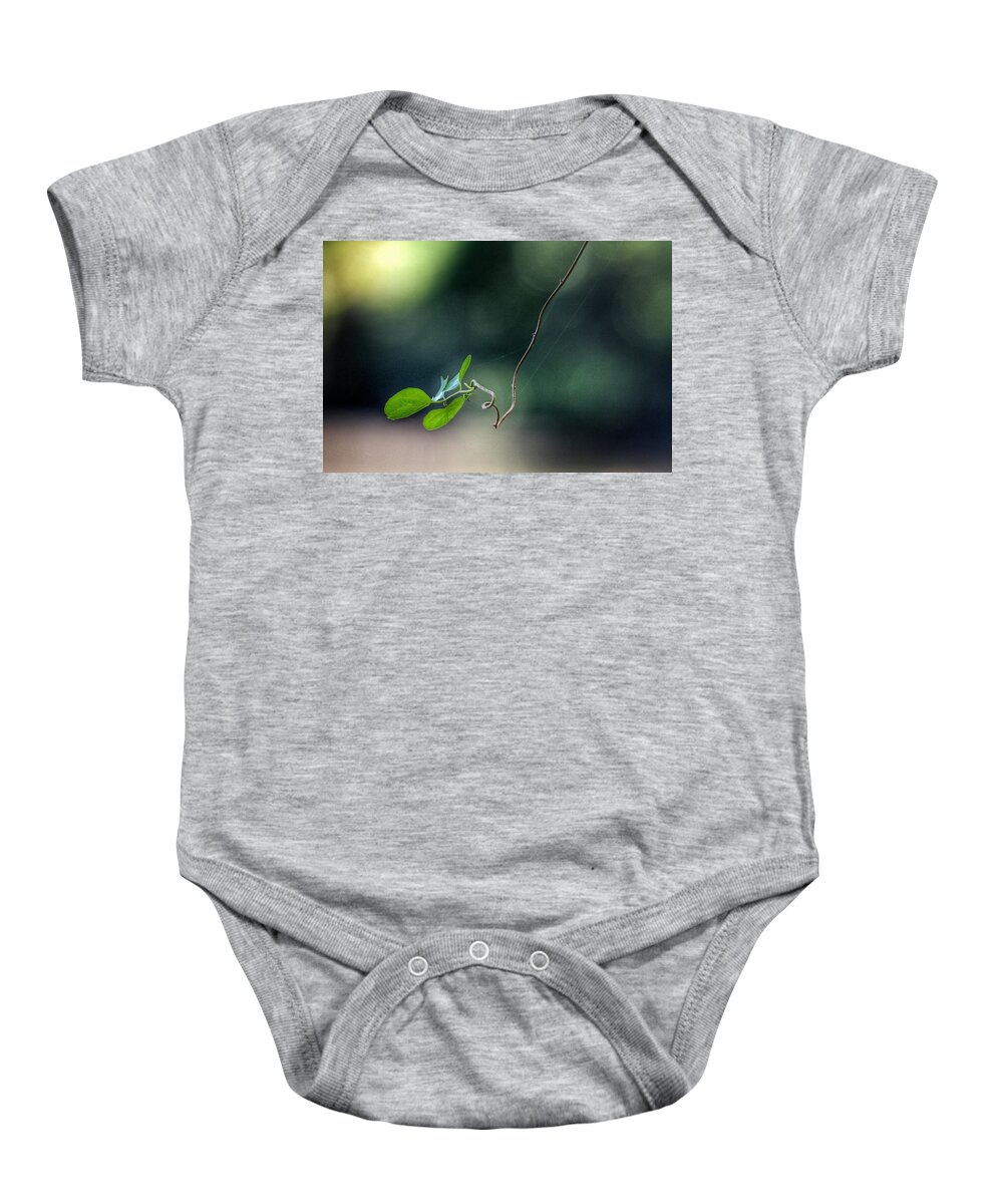 Photo Baby Onesie featuring the photograph Alone Above the River by Evan Foster