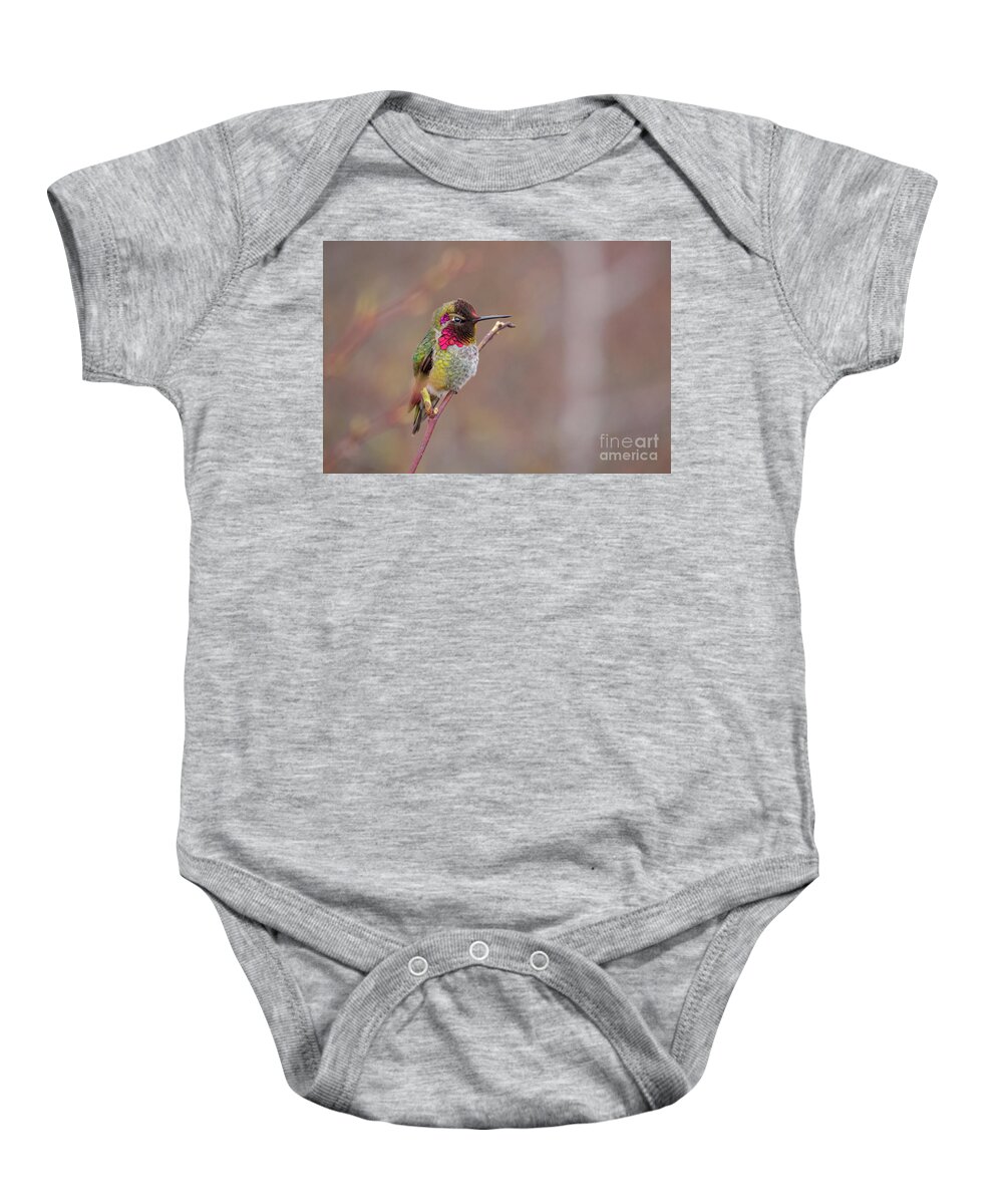 Anna's Hummingbird Baby Onesie featuring the photograph Anna's Hummingbird on Twig by Nancy Gleason