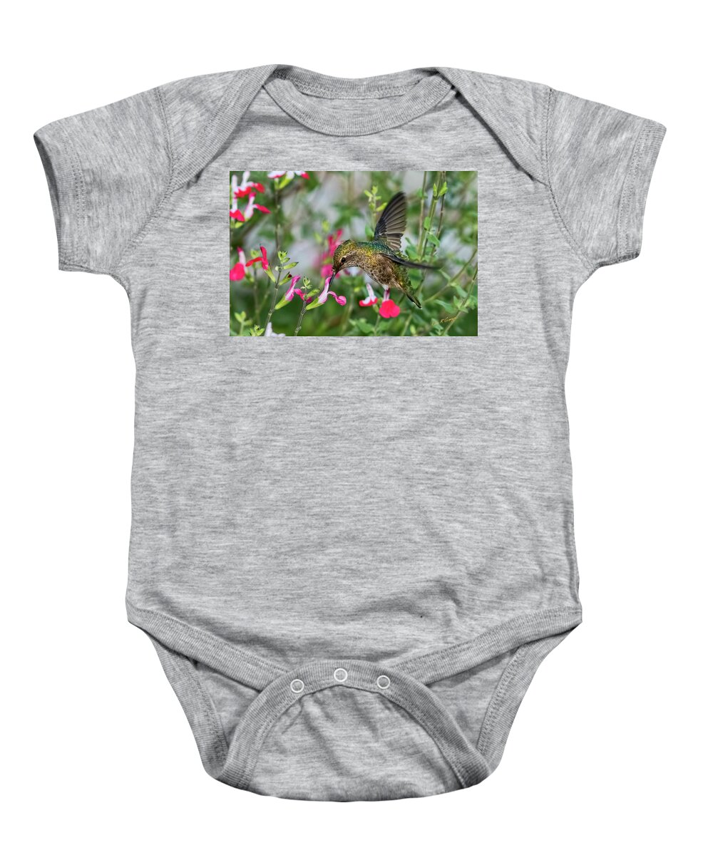 Hummingbird Baby Onesie featuring the photograph Armor Plated by Dan McGeorge