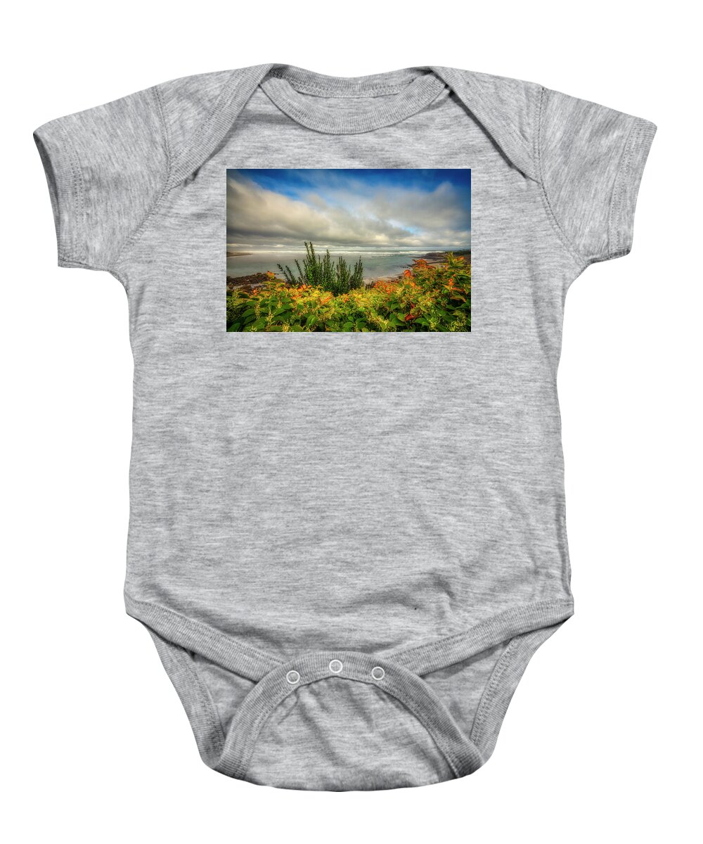 Marginal Way Baby Onesie featuring the photograph Autumn Foliage on Marginal Way by Penny Polakoff