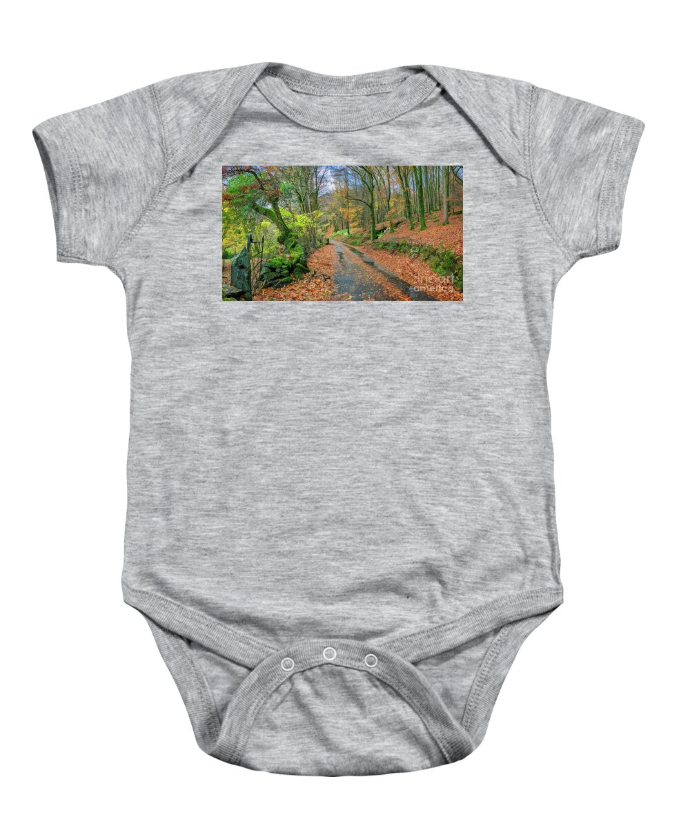 Crafnant Baby Onesie featuring the photograph Autumn Forest Snowdonia by Adrian Evans
