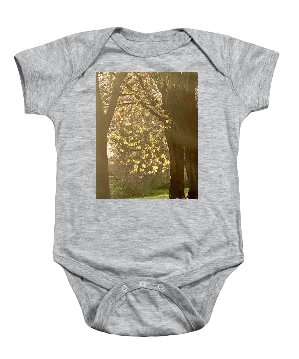  Baby Onesie featuring the photograph Autumn Sunlight by Gordon James