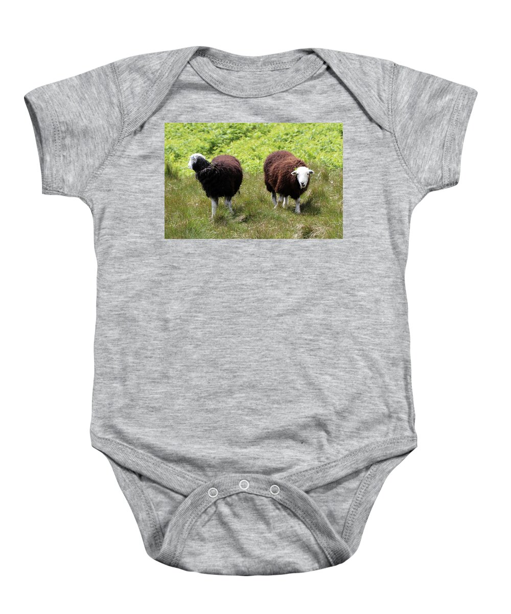 Sheep Baby Onesie featuring the photograph Baa by Lukasz Ryszka