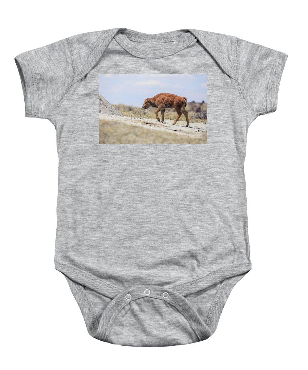 Newborn Bison Baby Onesie featuring the photograph Baby Bison Journey by Dan Sproul