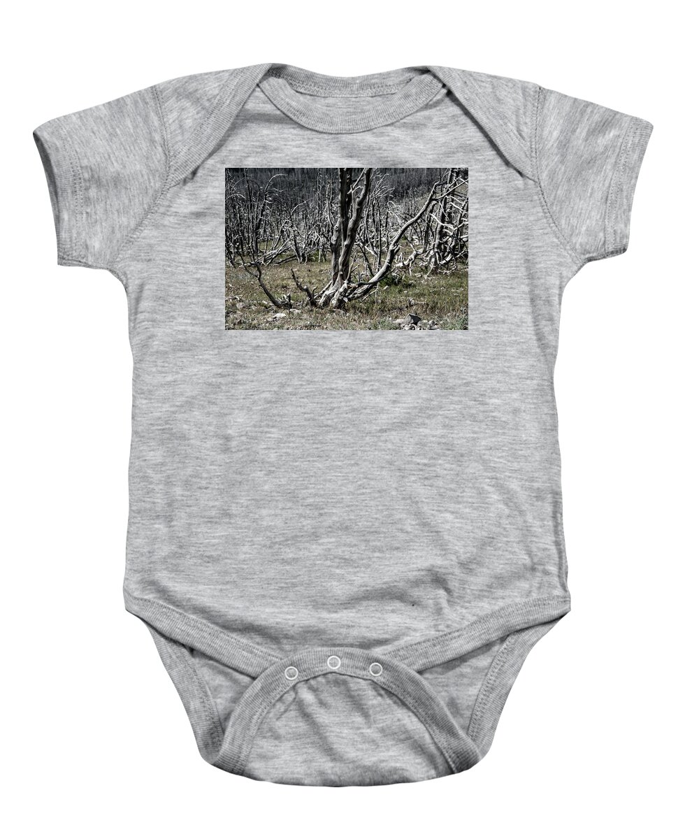 No People Baby Onesie featuring the photograph Bare Tree by Nathan Wasylewski