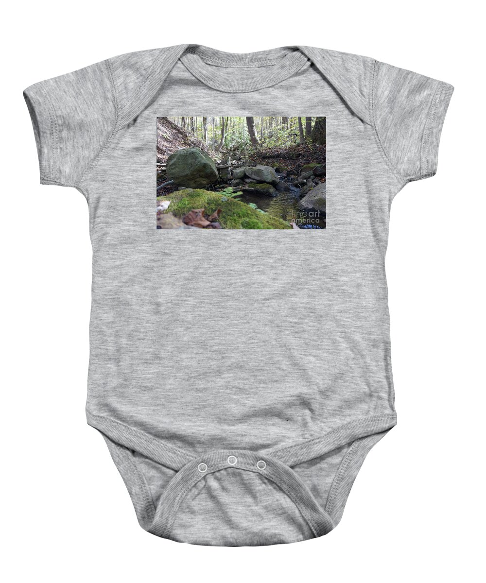Fall Foliage Baby Onesie featuring the photograph Bark Rocks 3 by Chris Naggy