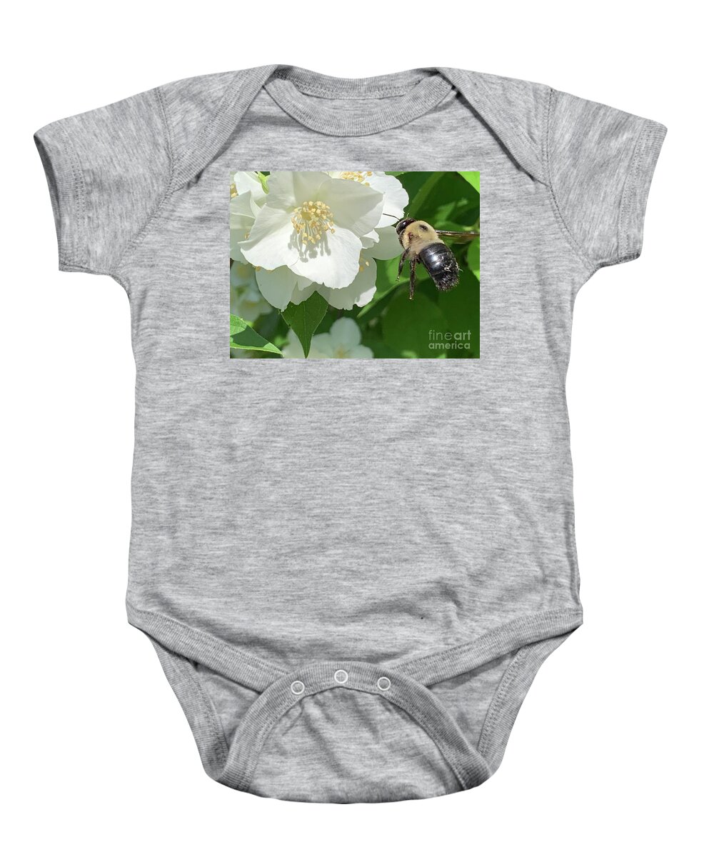 Bee Baby Onesie featuring the photograph Bee in Flight by Catherine Wilson