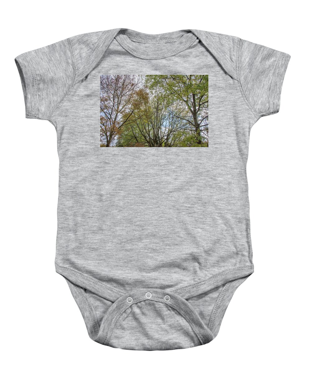 Bethune Park Baby Onesie featuring the photograph Bethune Park Trees Fall by Edmund Peston