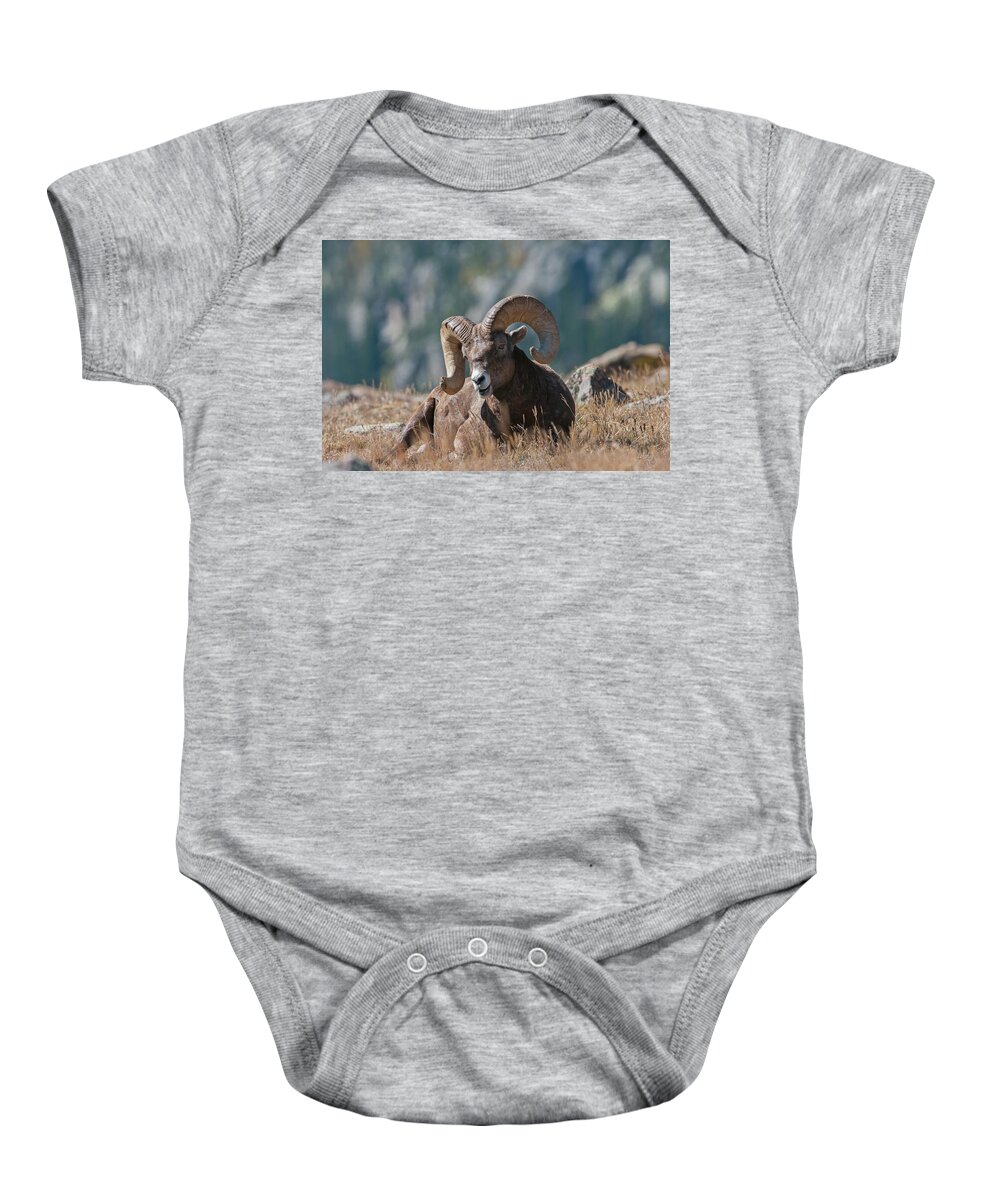 Bighorn Sheep Baby Onesie featuring the photograph Bighorn Sheep - 7187 by Jerry Owens