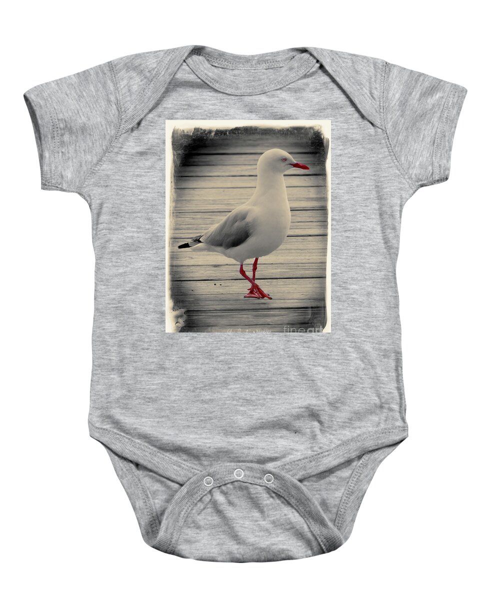 Seagull Baby Onesie featuring the photograph Bird on a Boardwalk by Chris Armytage