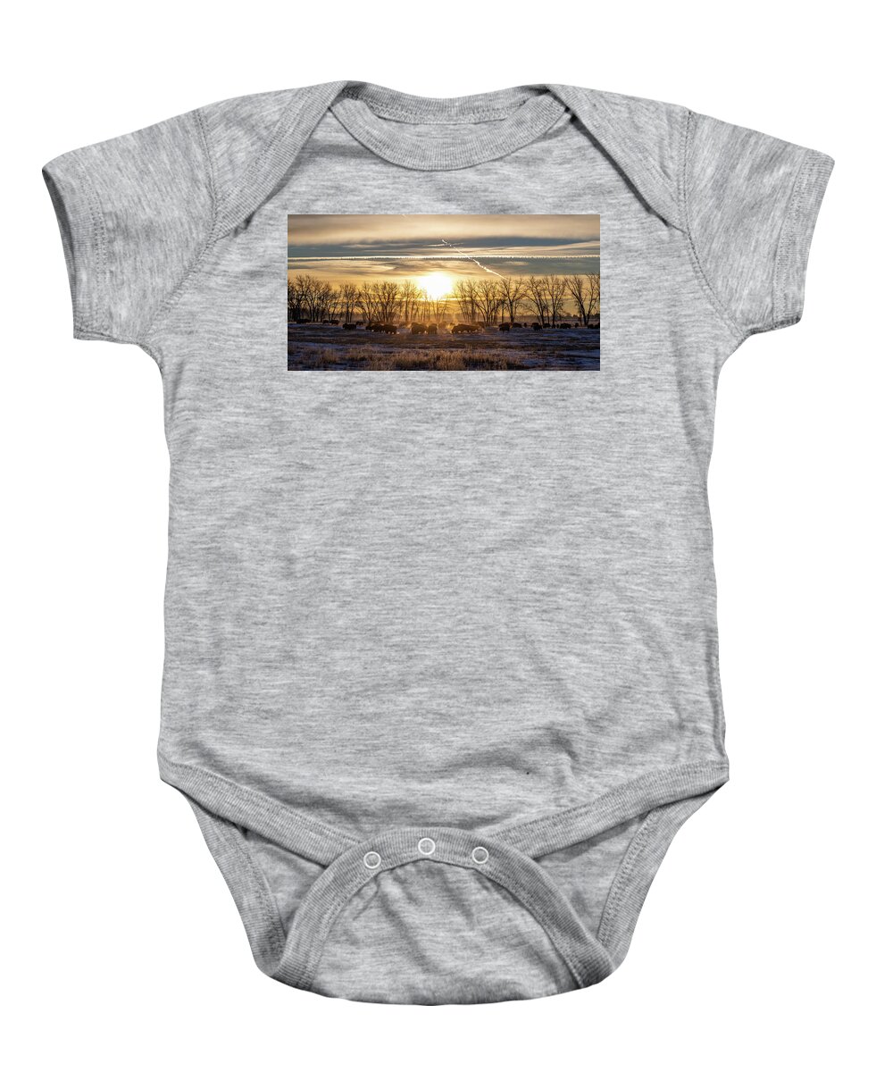 Bison Baby Onesie featuring the photograph Bison at Sunrise on a Cold Morning on the Great Plains - Panorma by Tony Hake