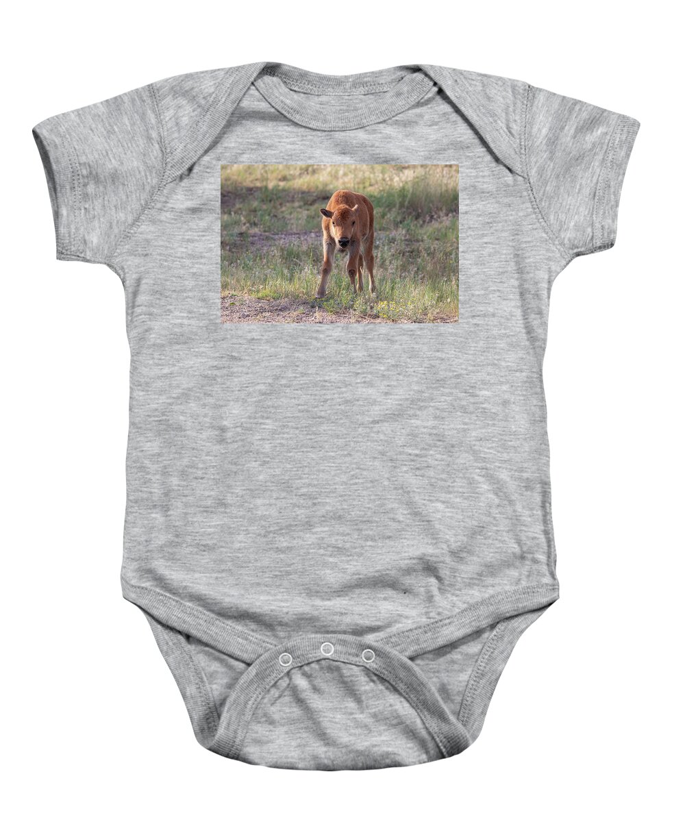 Bison Baby Onesie featuring the photograph Bison Calf in the Morning Sun by Tony Hake