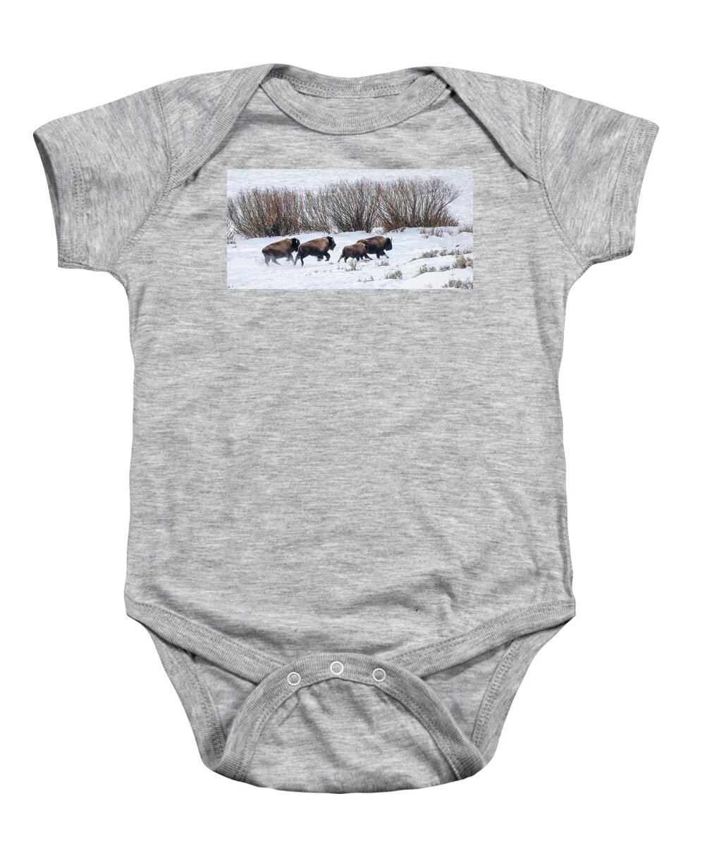 Yellowstone National Park Baby Onesie featuring the photograph Bison Running by Cheryl Strahl