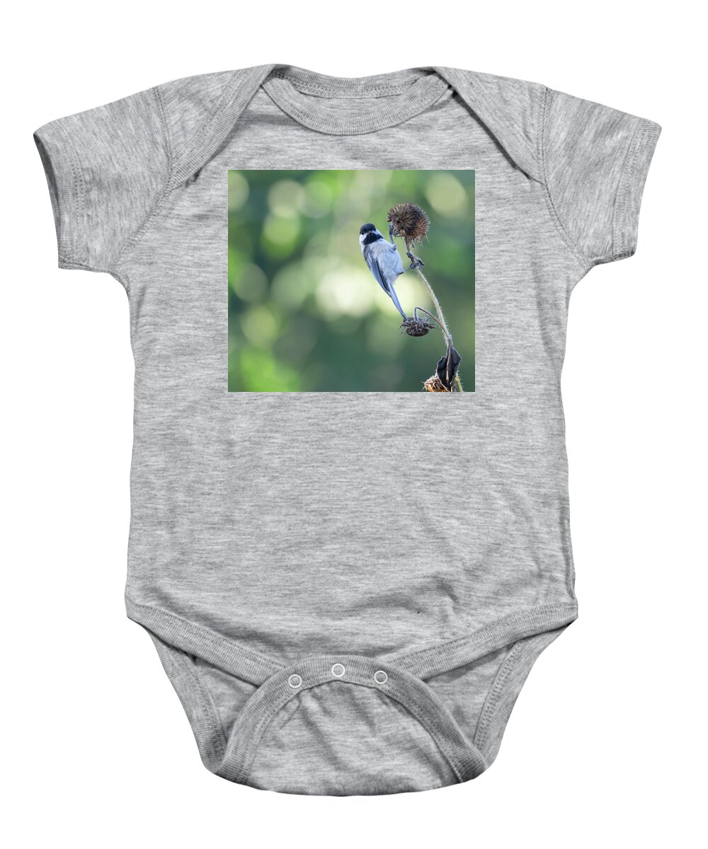 Black-capped Chickadee Baby Onesie featuring the photograph Black-capped Chickadee 2021-1 by Thomas Young