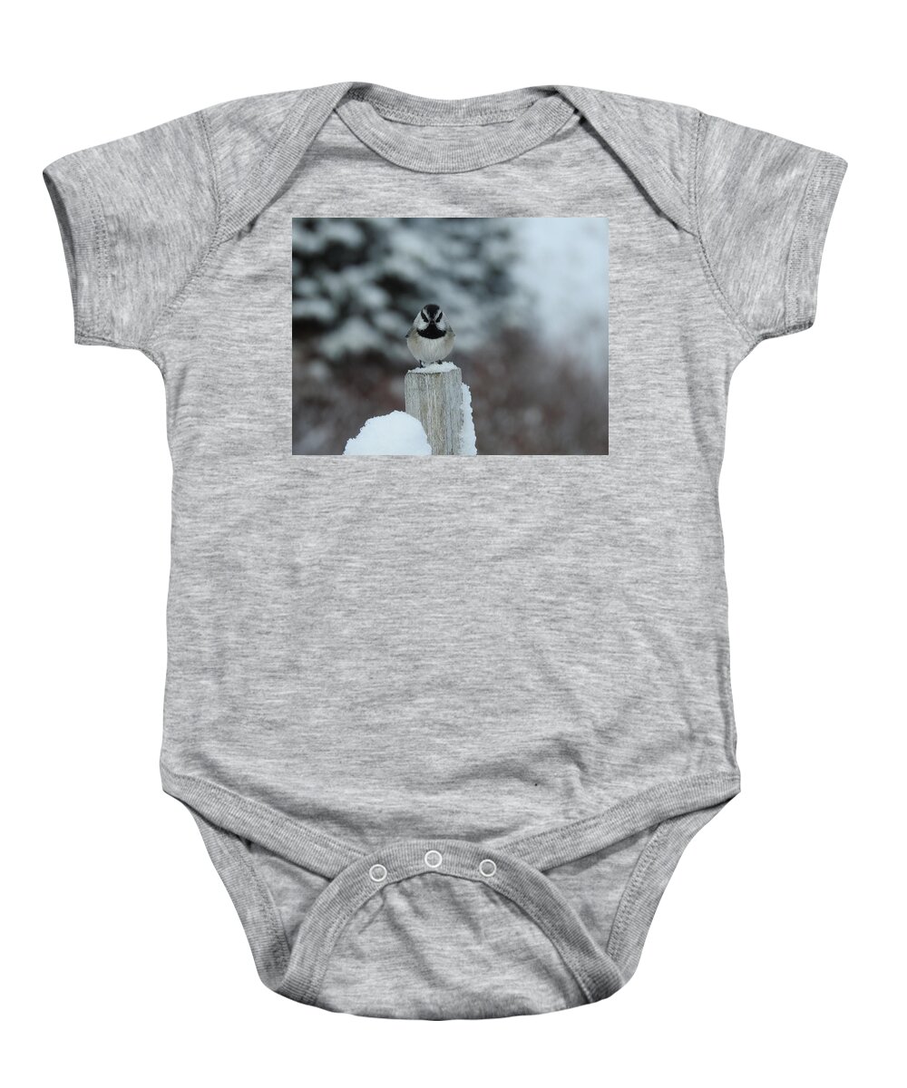 Black Capped Chickadee Baby Onesie featuring the photograph Black Capped Chickadee by Nicola Finch
