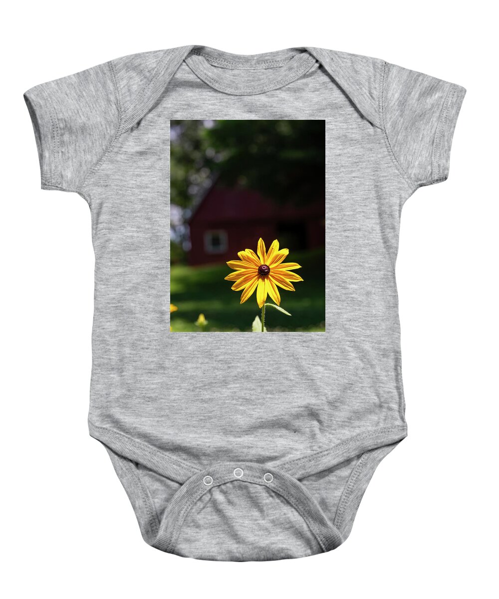 North Carolina (nc) Baby Onesie featuring the photograph Black-Eyed Susan Shines Brightly by Charles Floyd