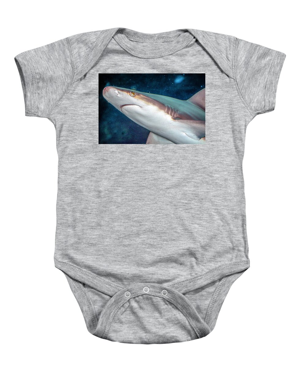 Bloody Baby Onesie featuring the photograph Bloody Nosed Shark by WAZgriffin Digital