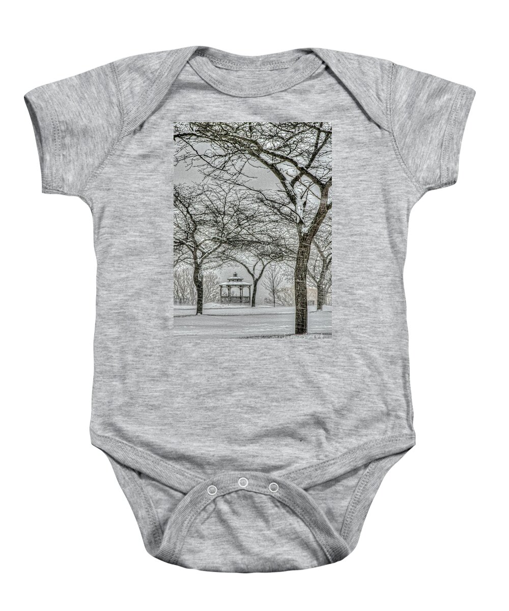 Charles Daley Park Baby Onesie featuring the photograph Blow, Blow, Thou Winter Wind by Marilyn Cornwell