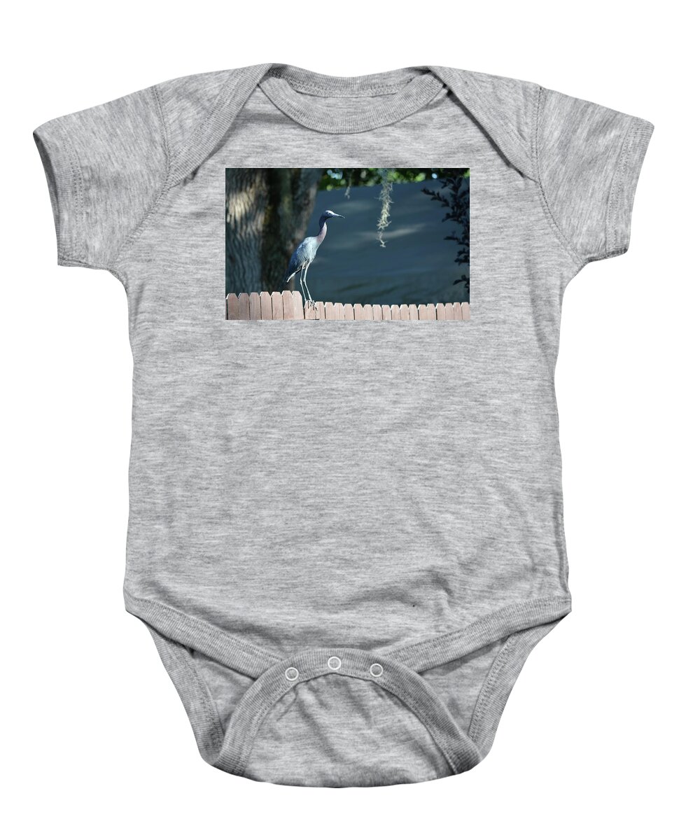 Bird Baby Onesie featuring the photograph Blue Heron On Fence by Aimee L Maher ALM GALLERY