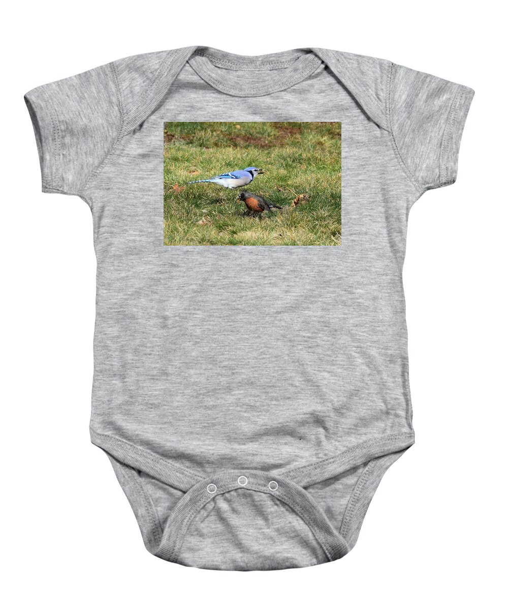 Blue jay and a Robin Baby Onesie 