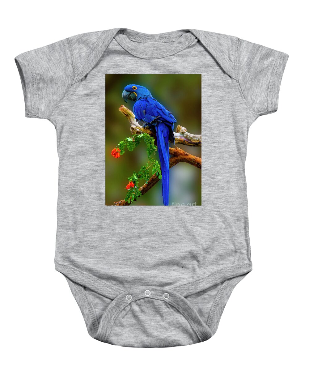Photography Baby Onesie featuring the photograph Blue Macaw by Paul Wear