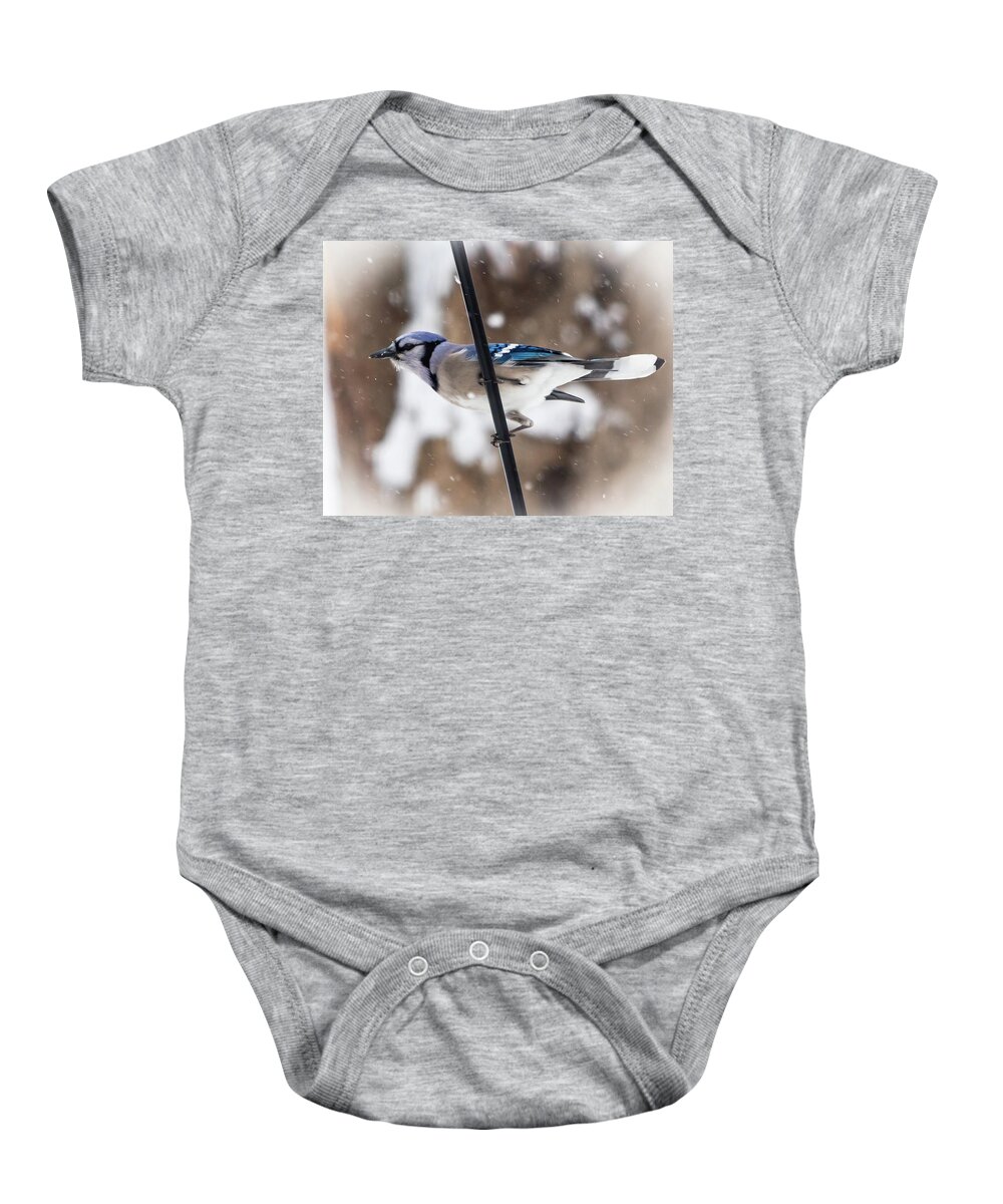 2019 Baby Onesie featuring the photograph Bluejay in the Snow by Gerri Bigler