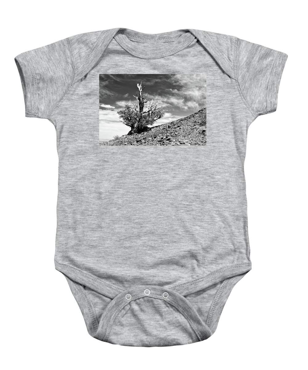 Ca Baby Onesie featuring the photograph Bristled Tutu by American Landscapes