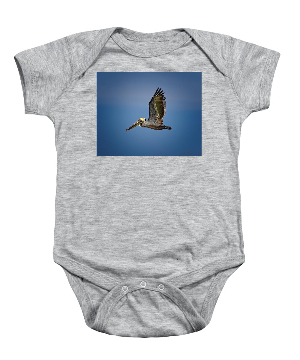 Brown Pelican Baby Onesie featuring the photograph Brown Pelican looking for Fish by Ronald Lutz