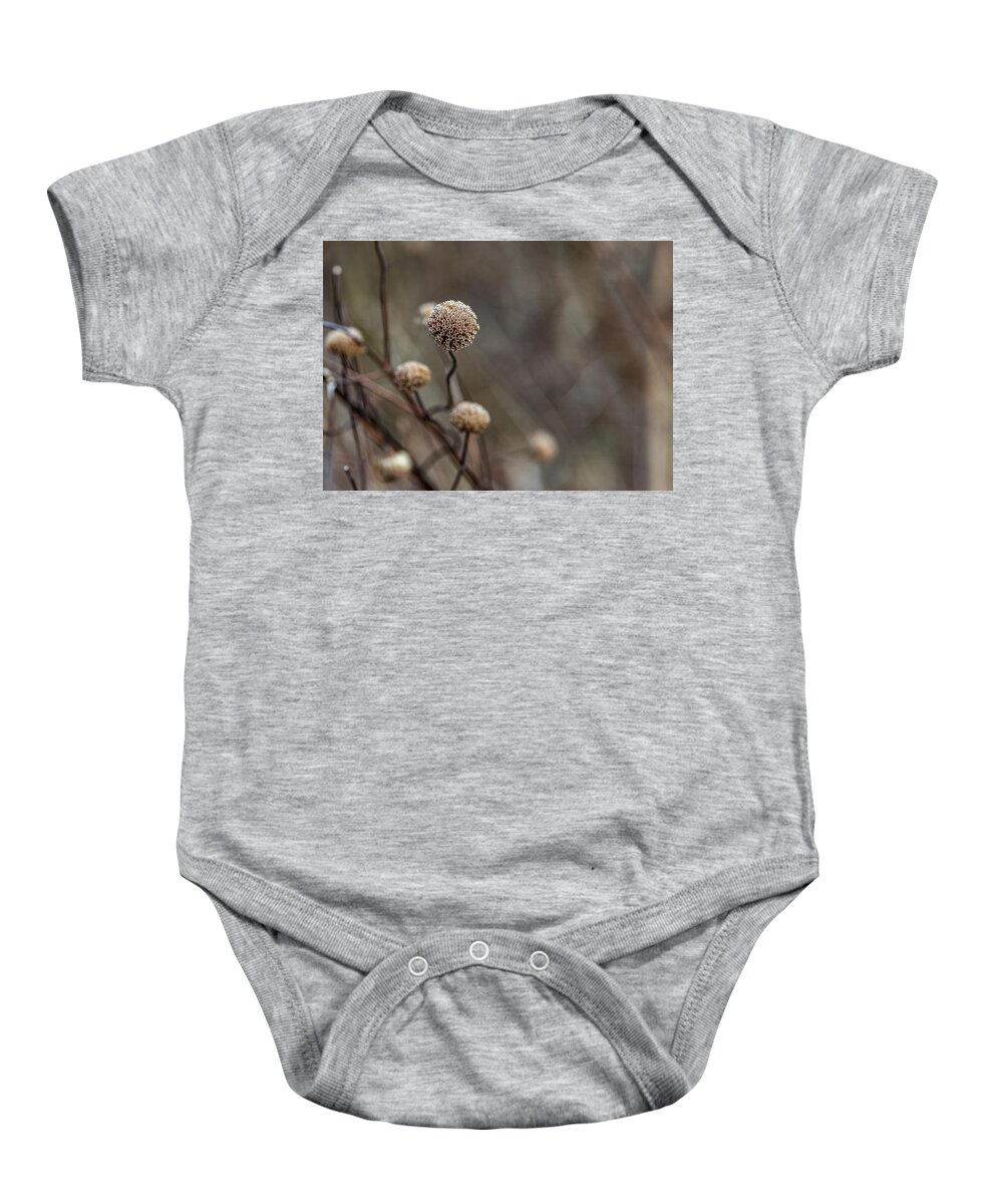 Flower Baby Onesie featuring the photograph Brown Plants Closeup by Amelia Pearn