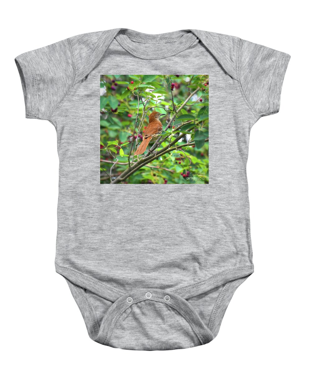 Brown Thrasher Baby Onesie featuring the photograph Brown Thrasher in the Berries by Kerri Farley