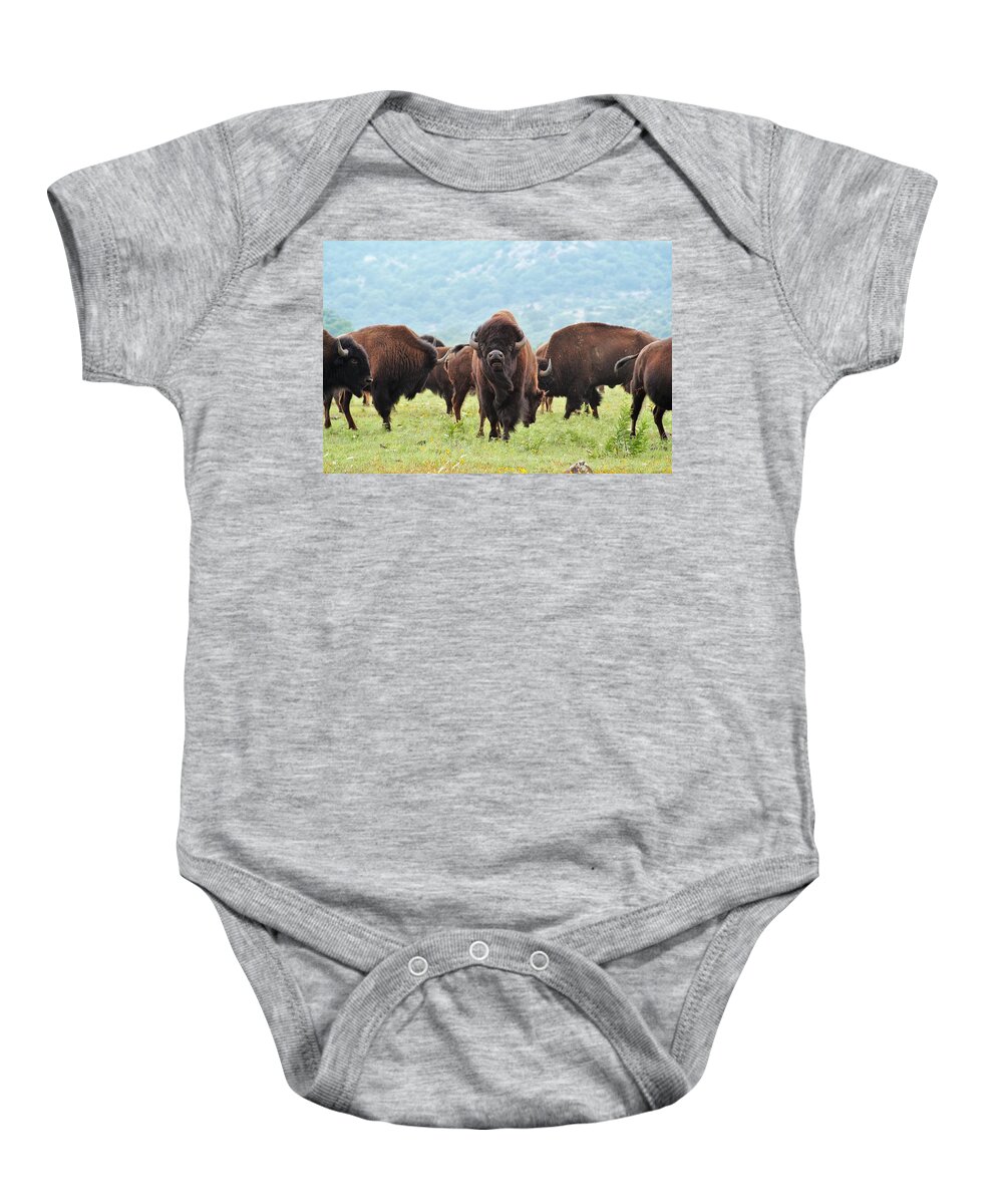 Buffalo Baby Onesie featuring the photograph Buffalo Roam by Pam Neilands