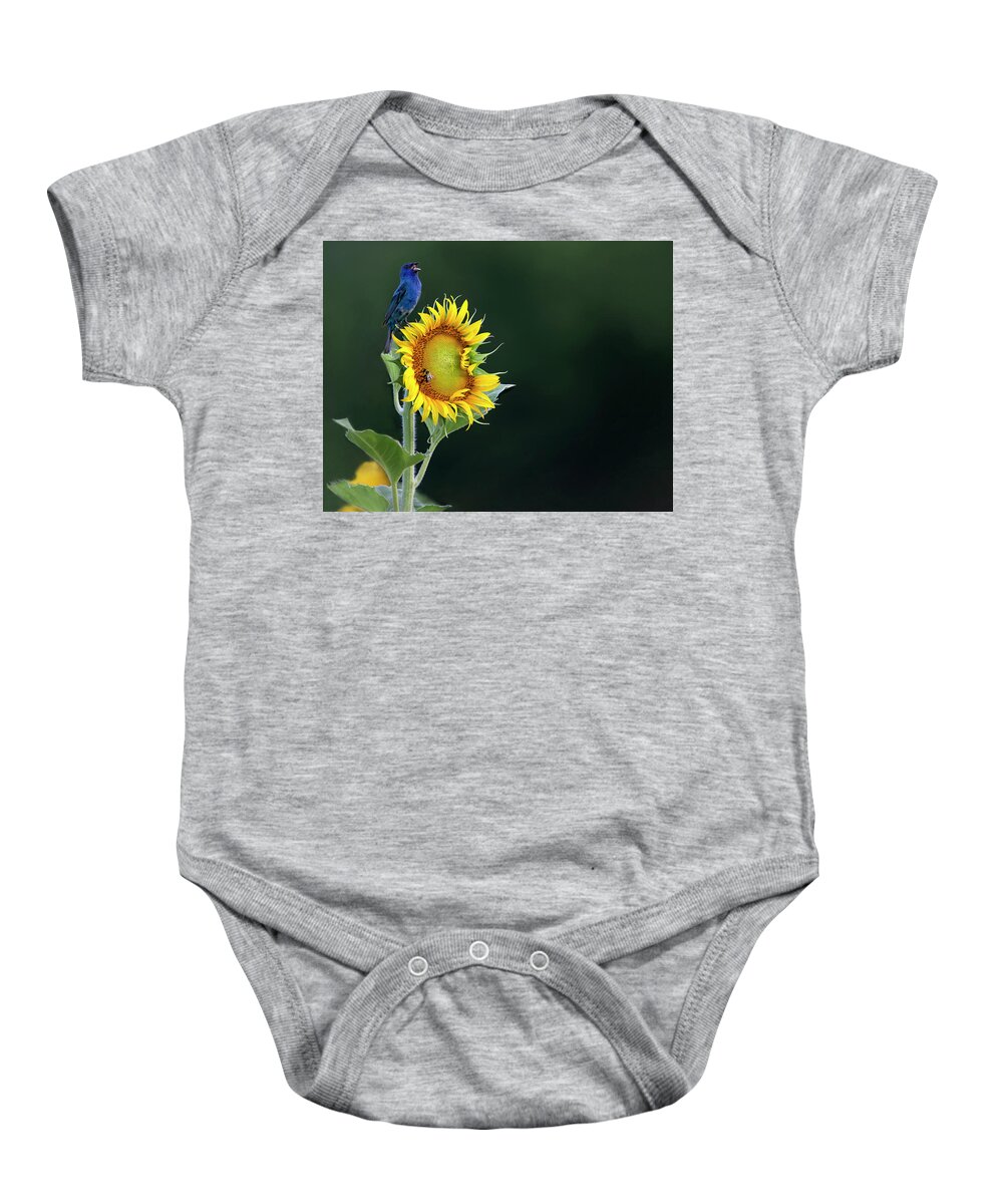 Bird Baby Onesie featuring the photograph Bunting Ballad by Art Cole