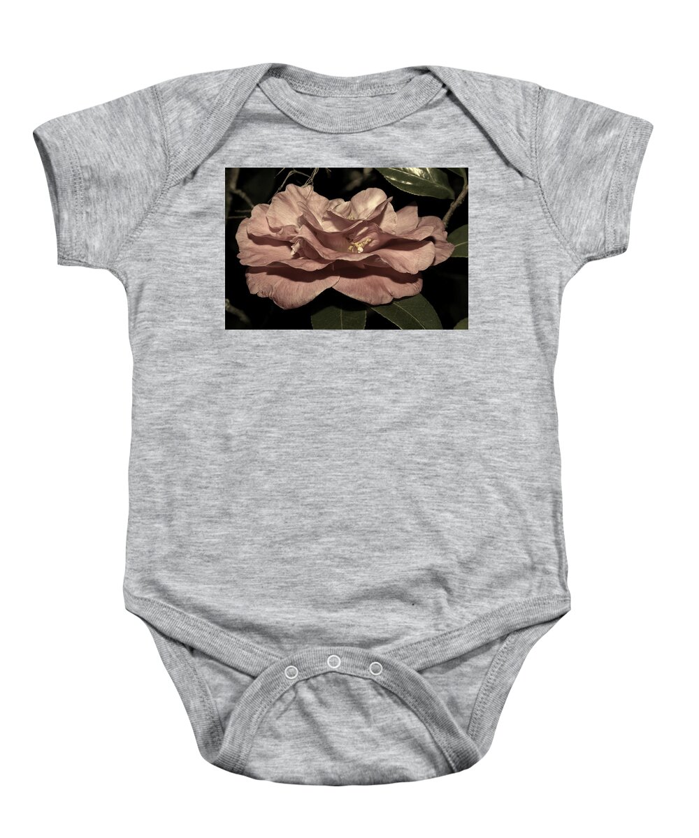 Camellia Baby Onesie featuring the photograph Camellia in Light Gold by Mingming Jiang