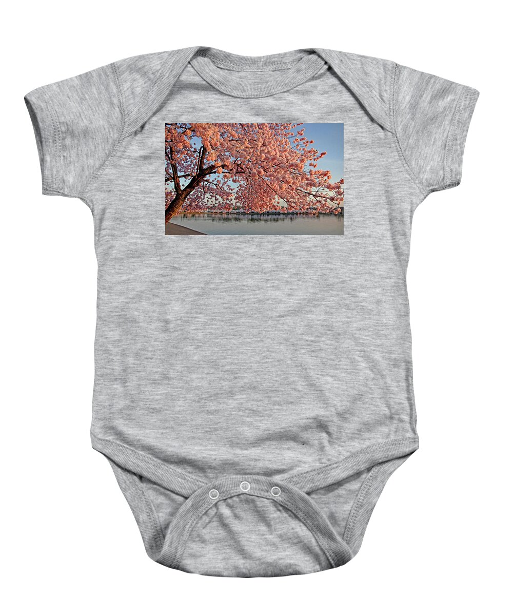 Cherry Blossom Trees Baby Onesie featuring the photograph Cascade of Pink by Suzanne Stout