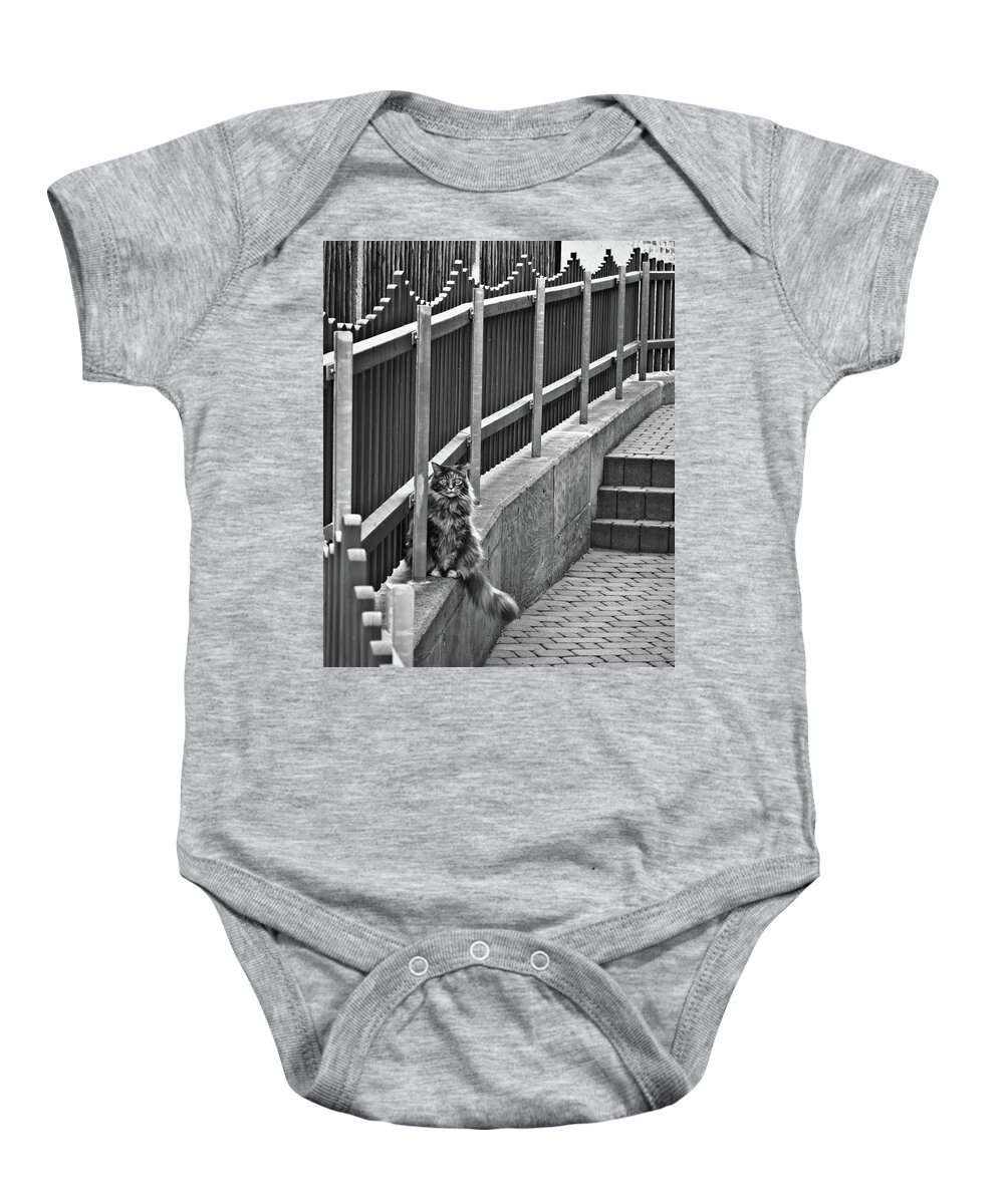 Germany Baby Onesie featuring the photograph Cat on a fence by Naomi Maya