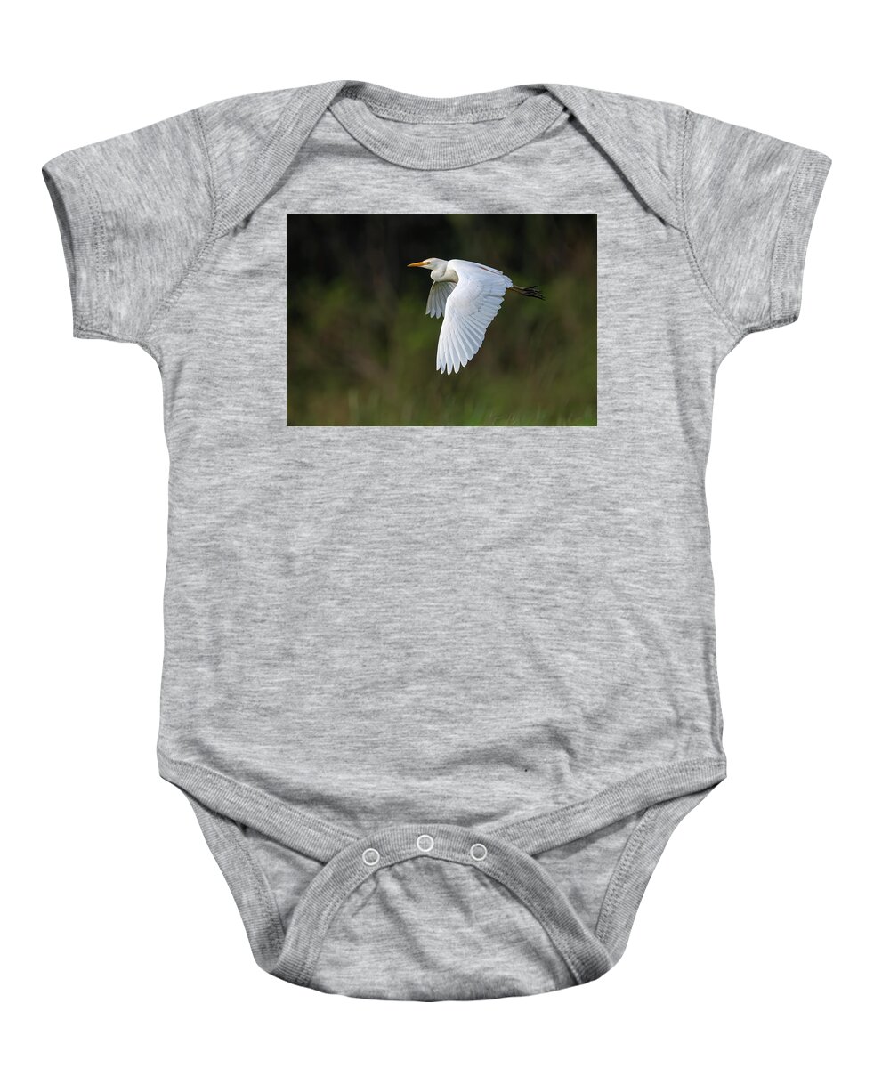 Cattle Egret Baby Onesie featuring the photograph Cattle Egret in flight by Rick Mosher