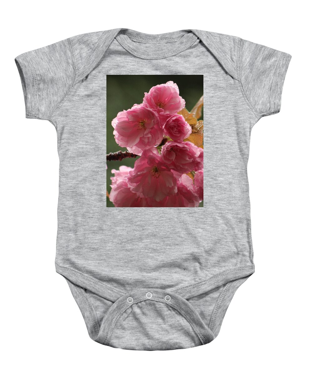 Jane Ford Baby Onesie featuring the photograph Cherry Blossom after rain by Jane Ford