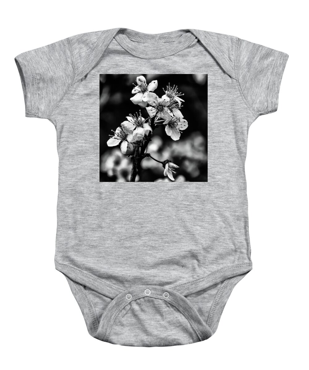 Cherry Blossoms Baby Onesie featuring the photograph Cherry Blossoms BW by Flees Photos
