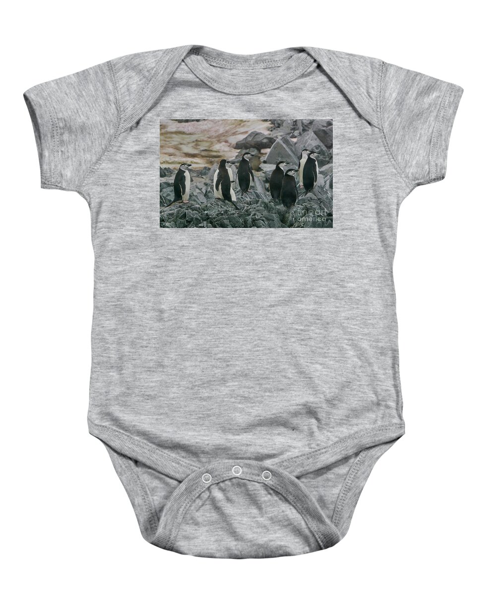 Antarctica Baby Onesie featuring the photograph Chinstrap Penguin by Brian Kamprath