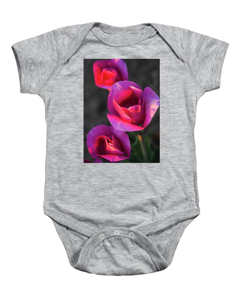 Tulips Baby Onesie featuring the photograph Close Up by Michael Rauwolf