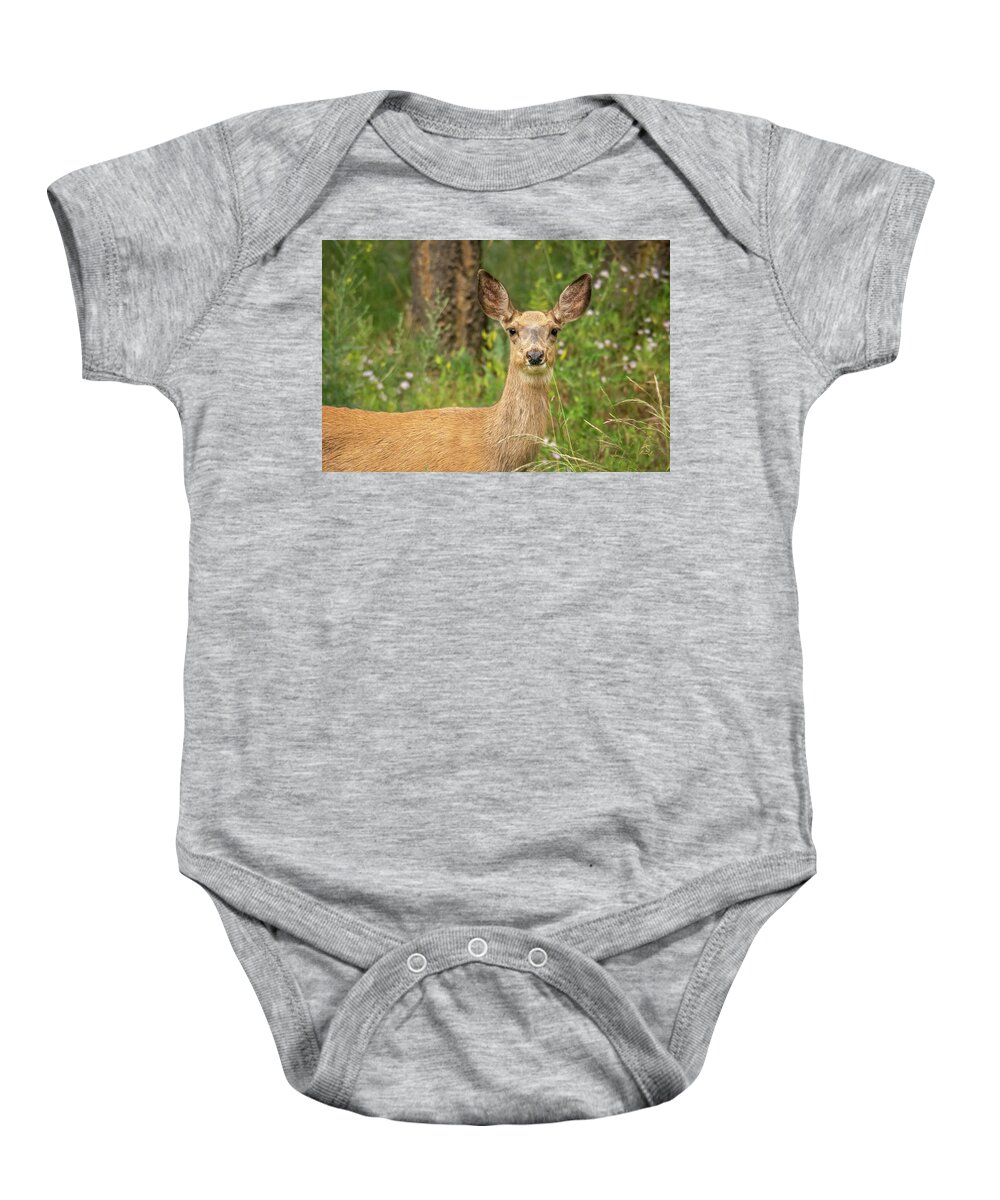 Deer Baby Onesie featuring the photograph Closeup of a Mule Deer by Constance Puttkemery