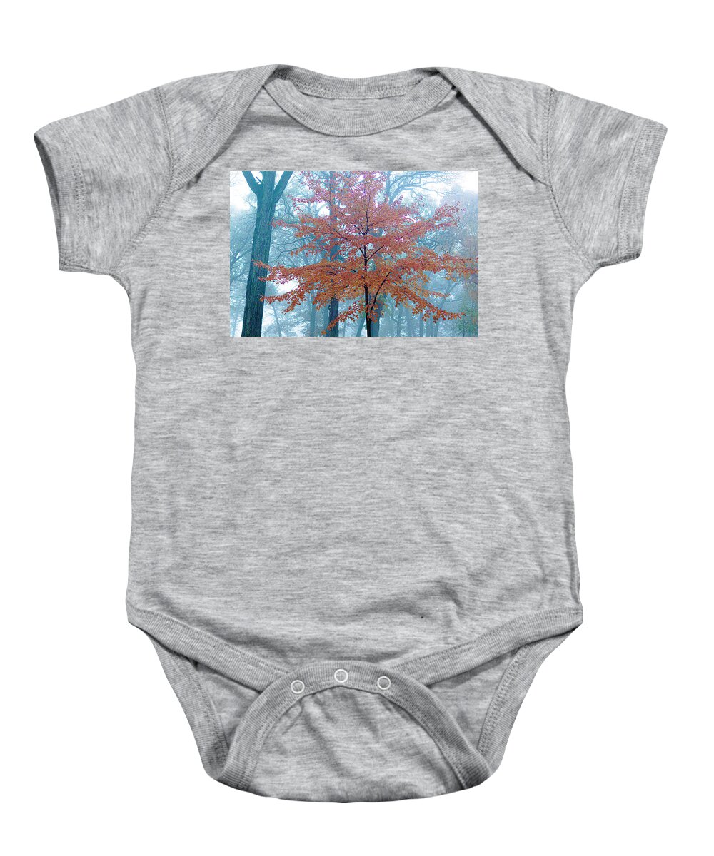 Colorful Tree Foggy Night Zion Illinois Autumn Fall Range Baby Onesie featuring the photograph Colorful Tree on a Foggy Night - Zion, Illinois by David Morehead