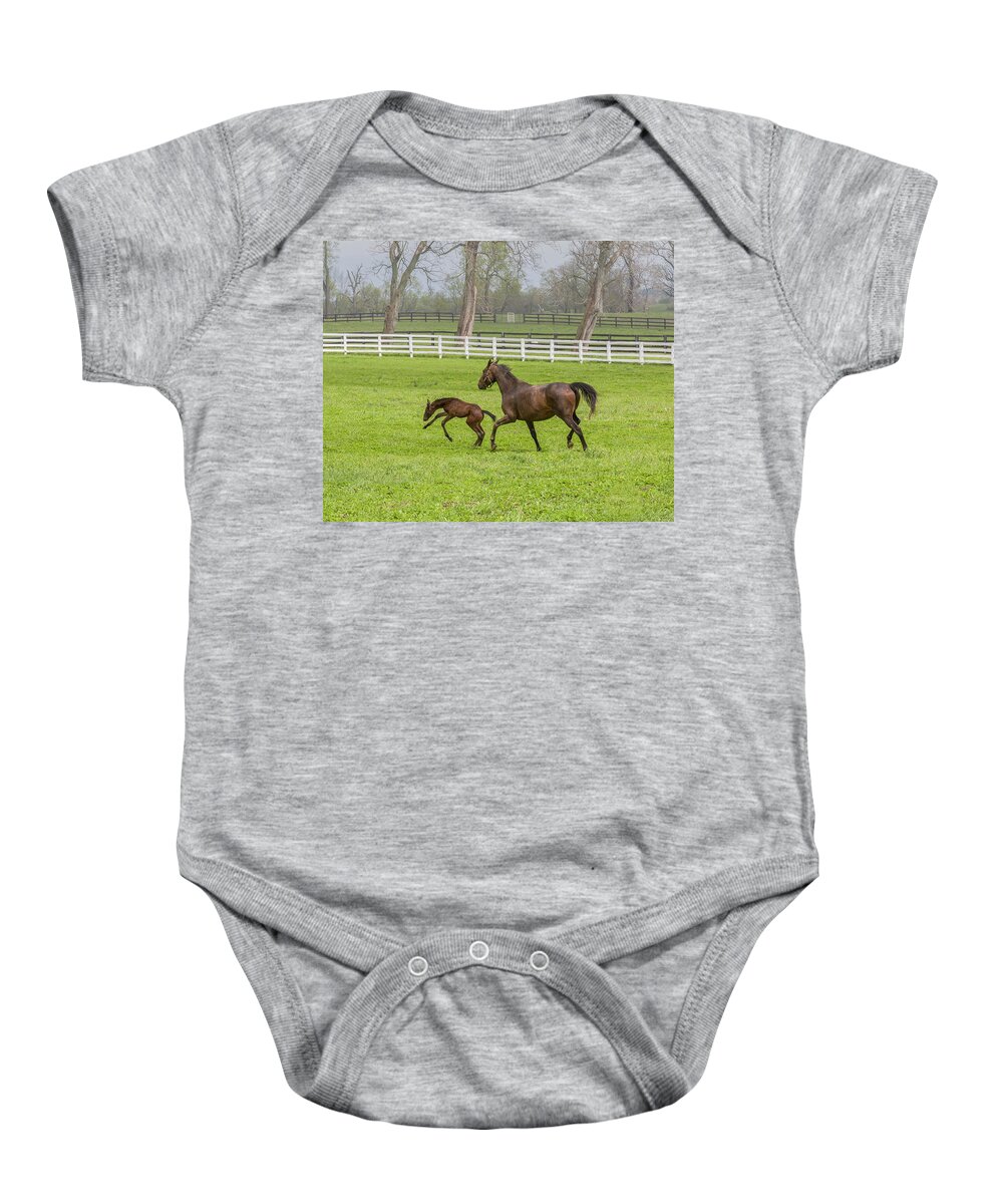 Animal Baby Onesie featuring the photograph Colt by Jack R Perry