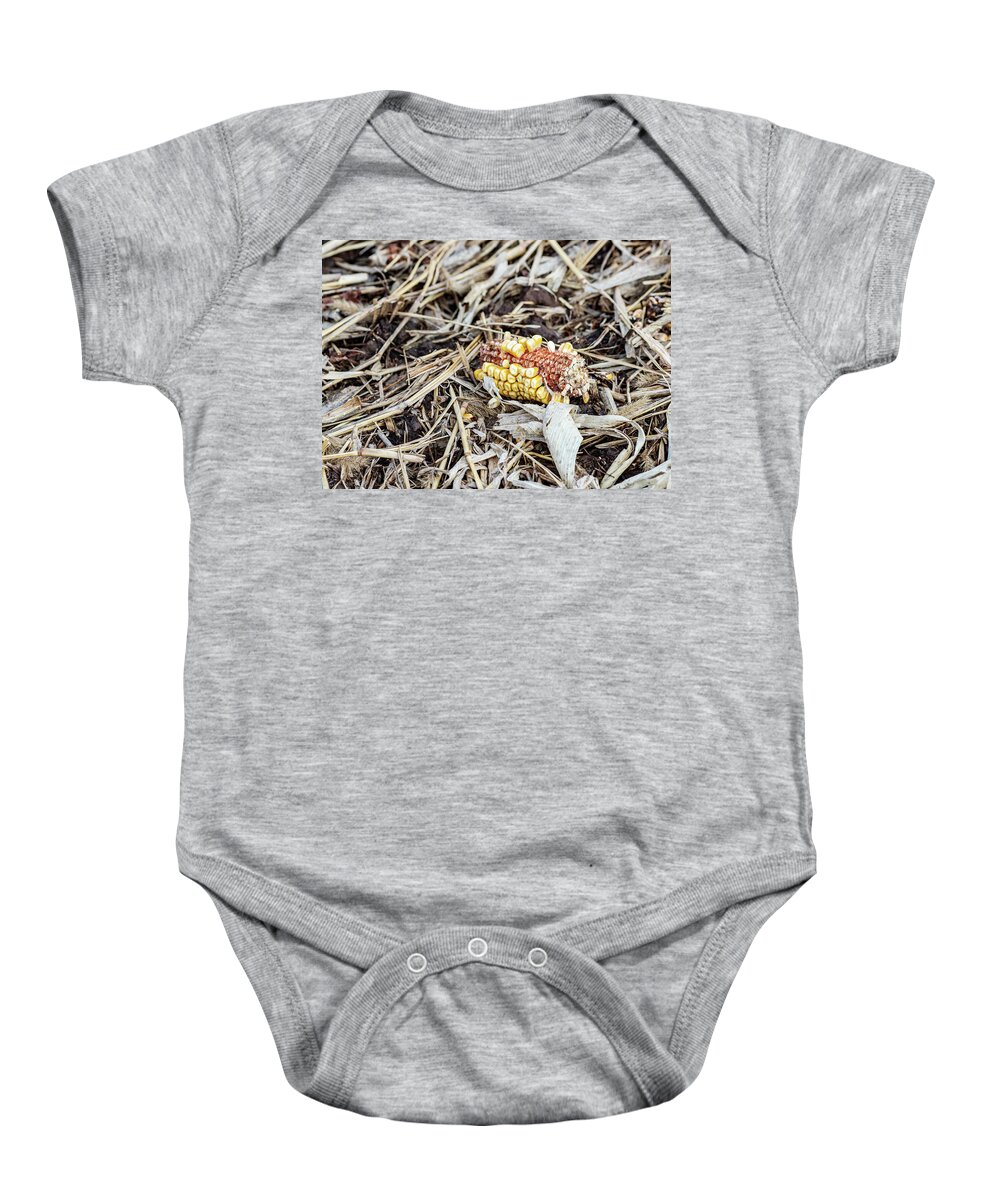 Corn Baby Onesie featuring the photograph Corn in the Field by Amelia Pearn