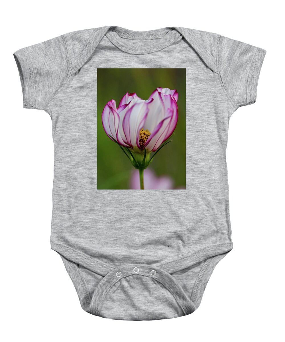 Cosmo Baby Onesie featuring the photograph Cosmo Dance by Mary Anne Delgado