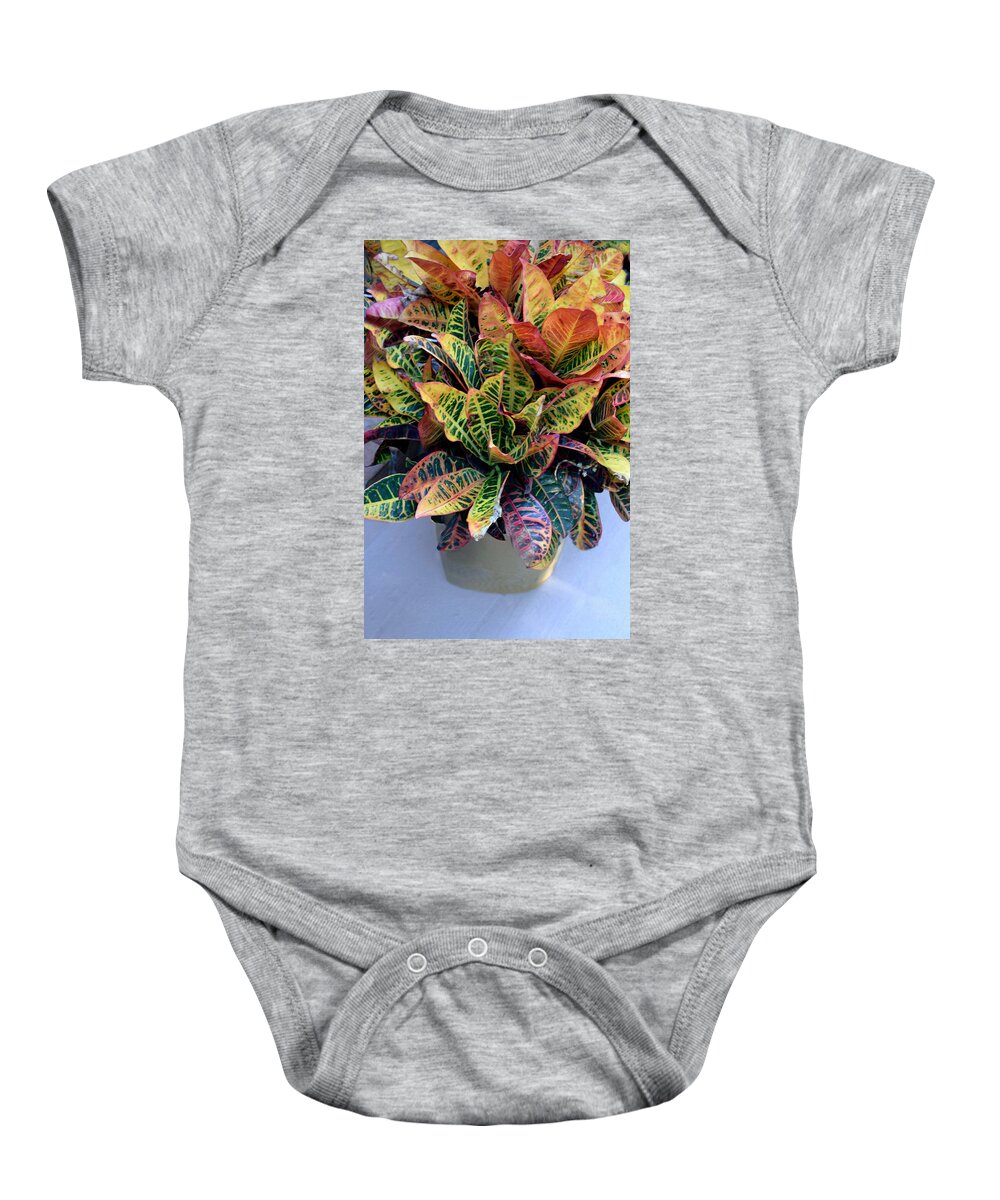 Croton Petra Baby Onesie featuring the mixed media Croton Petra Plant by Sandi OReilly