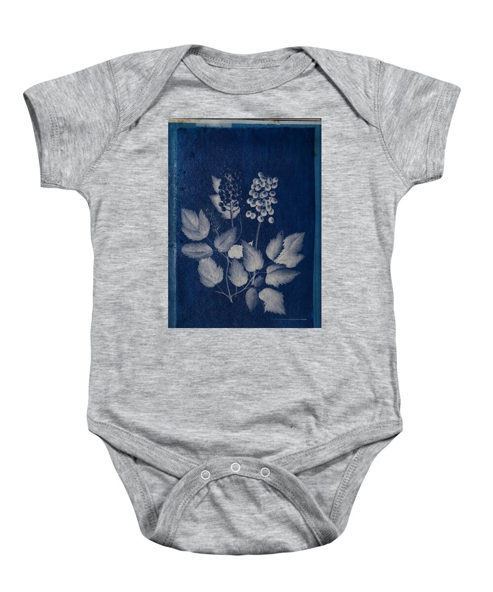 Cyanotype Photo Of A Plant - Medical Botany - 7 Baby Onesie featuring the photograph Cyanotype Photo of a plant - medical botany - 7 by Celestial Images